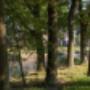 Hospice Het Alteveer Assen