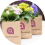 FlowerCompanies