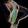 45032-de-osteopaat-en-de-chiro