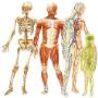 Praktijk Osteopathie Vissia