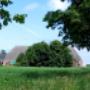 Meeuwes Groep