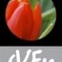 Fotografie Della Bellezza Studio Galerie
