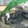 Landview BV