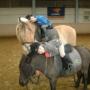 Ponyrijden