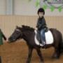 Gratis ponyritjes