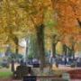 Begrafenisvereniging Rolde en omstreken
