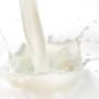 Tetra Pak Processing Systems BV