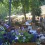 Restaurant Café Johanna's Hof