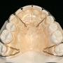 Orthodontiepraktijk Van Zwol