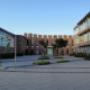 Zeldenrust-Steelantcollege