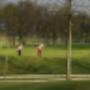 Golfclub Grevelingenhout