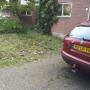 Budget Hoveniers