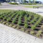 Budget Hoveniers