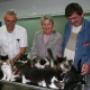 Othene Dierenkliniek