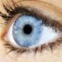 Houg Optiek