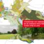 Publicaties