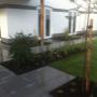Maarssen-dorp
