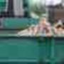 Tuls Gebr