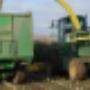 Leeuw Loonbedrijf & Containerverhuur De