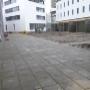 Tuinmarkt Frankenhuyzen J C van
