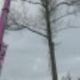 Kromwijk Woerden
