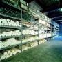 Industrial Plastics Europe BV