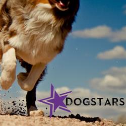 DogStars Hondenschool