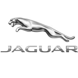 Van Mossel Jaguar Zwolle