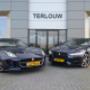 Twee mooie Jaguars