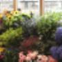 Tuin Totaal Oldenzaal