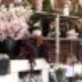 Tuin Totaal Oldenzaal