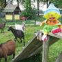 Kinderdagverblijf De Drie Biggetjes