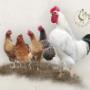 Schermafbeelding_2013-02-13_om