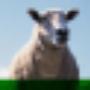 Dierenartsenpraktijk Goor O Voortman
