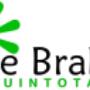 TE BRAKE TUINTOTAAL