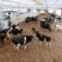Loohuis BV Installatiebedrijf F H