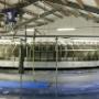Loohuis BV Installatiebedrijf F H