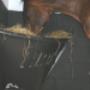 Hay Bar Hooiruif