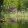 Plaatsen aan het water