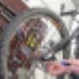Zwiep Fietsen