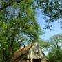 Restaurant Florilympha