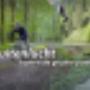 Buffel Outdoor