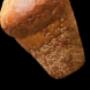 Meen Bakker