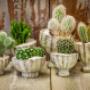 Othmar Decorations BV