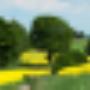 Psychologenpraktijk- en Gestalttherapiepraktijk Twente Rooseboom