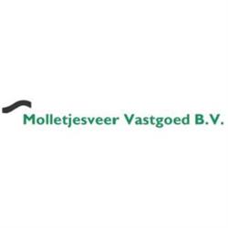Molletjesveer Vastgoed BV