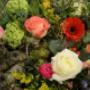 Bloem & Styling Aan de Zeven Alleetjes