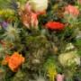 Bloem & Styling Aan de Zeven Alleetjes