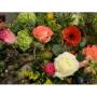 Bloem & Styling Aan de Zeven Alleetjes