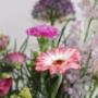 Bloem & Styling Aan de Zeven Alleetjes